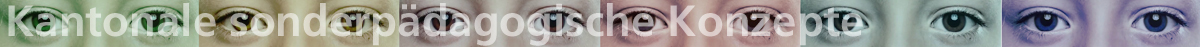 Kantonale_sonderpaedagogische_Konzpepte